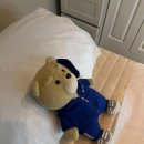 효원로235번길 이미지