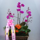 우림약품 이미지