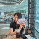 발리 | 느지막히 적어보는 발리 여행 후기