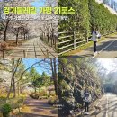 경기둘레길 가평24코스 | 경기 둘레길 가평 21코스 후기 강아지와 함께 걷기(교통, 난이도, 소요시간 총정리)