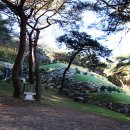 매계조위 묘소 이미지