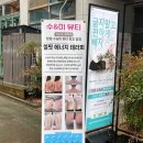 수미뷰티 이미지