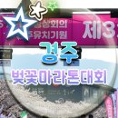 케이케이㈜보문주유소 | 제32회 경주벚꽃마라톤대회, 참가자 필수 정보와 꿀팁