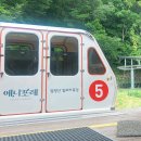 라온목장 | 평창 애니포레 알파카목장 후기 용평리조트 아이들과 가볼만한곳