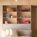 탠 포지티브 이미지