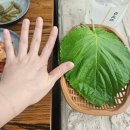 돈주물럭 | 인천 강화도 오리 맛집 [별립 오리주물럭]내 돈 내산 후기.