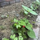 포항여인숙 이미지