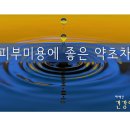 태백산약초원 이미지