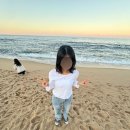 강릉에서 살아남기