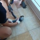 성원광택 이미지