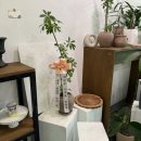 토월한의원 이미지