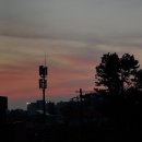 다모리네 이미지