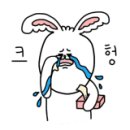 (주)씨디센터 이미지