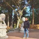 진양호공원전망대 이미지