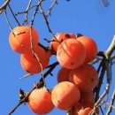 오늘의 역사 (11월 30일) 이미지