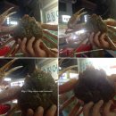 화랑수산 네이버블로그