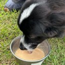 레오메디 이미지