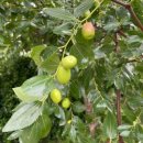 바다숲 민박 이미지