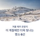 삼춘네칼국수 | 겨울 제주 관광지, 이 계절에만 더욱 빛나는 명소 추천 6선