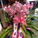 광원수족관 이미지