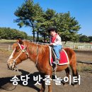 승마장 야외화장실 2 | 제주 동쪽 아이와 가볼만한 곳 송당 승마장 밧줄놀이터 꿀팁 후기