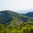 용봉산자연휴양림 이미지