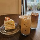 스틸블루 애견샵 | 동래 온천천 카페 칙투칙 애견동반 후기