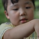 동심어린이집 이미지