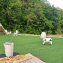 비루개 염소농장 | [경기/남양주] 별내 팜스쿨:: 아이와함께가볼만한 곳, 캠핑분위기낼 수 있는 카페, 피자만들기체험