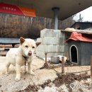 영덕주유소 이미지