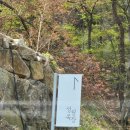 성림포레스트 이미지