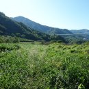 포구로2L 이미지