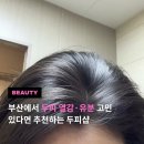 유진코아 | 부산헤드스파 경성대역 도보 1분 두피관리 후기 (+전후 차이)
