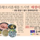 동해회관 Daum카페