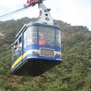 온천정문약국 이미지