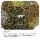 화산영농조합법인 이미지