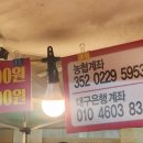 국화빵와플 이미지