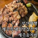 2호선 중동역 1번출구 | 부산 제주흑돼지 맛집 : 제주송치비 내돈내산 후기