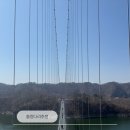 옥정호로 | 전북 임실 옥정호 출렁다리 붕어섬 후기