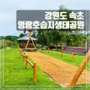 동심공원 농구장 | 속초 애견동반 산책 반려견 놀이터가 있는 영랑호 습지생태공원