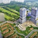 강남-259 이미지