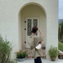 미미메종 이미지