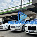 레디모터스 이미지