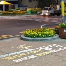 장성군청 광장 이미지