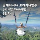 반딧불이 연무시장 낭만거리 | 말레이시아 코타키나발루 3박4일 자유여행_3일차