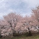 아기와 핫플 5. 3개월 아기와 롯데월드몰 나들이 후기(수유실, 노티드월드, 쌤쌤쌤, 주차)