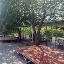 옥룡농장 이미지