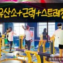 GOGO점핑 다이어트 이미지