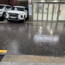 왕발뽑기장 | [7월] 벌써 7월이 다 갔다니!