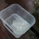 스피드 카 세차장 이미지